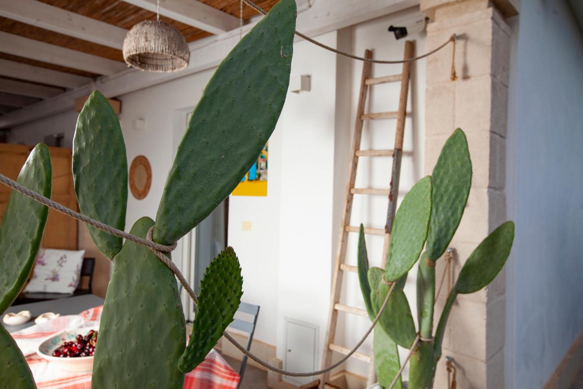 コンヴェルサーノ Casa Mia In Pugliaゲストハウス 部屋 写真